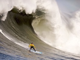 体育手机app在线下载